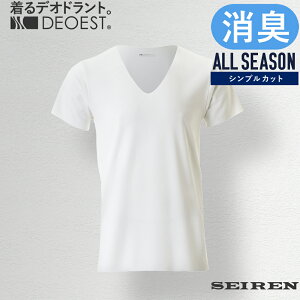 DEOESTbLA_[VcEVlbNiVvJbgjIDS01LVc L LCi[ V  ̏L L L eL L e e 킫 j am Y D ؂