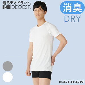 DEOESTbLA_[VcDRYEN[lbNIDT84LVc L LCi[ ێ  ̏L L L eL L e e 킫 j am Y z hC^b`