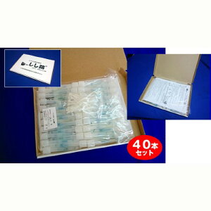 h 40{ CmVV΍ ʔQ CmVV    ȒP _ ƒ؉ bQ 