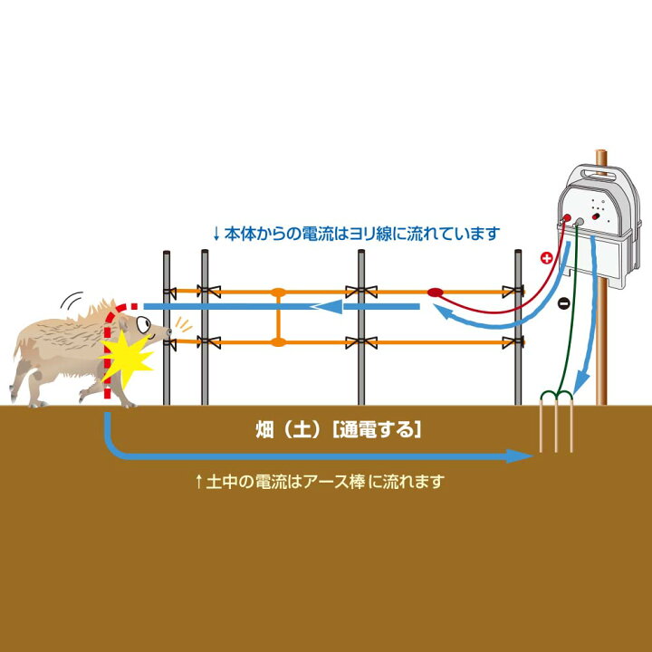 楽天市場】電気柵 支柱・電柵セット アポロ 1反張（周囲250m）FRP AP 