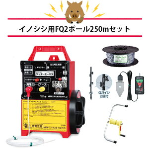 4560171679611 2i250mFQZbg dq쏊