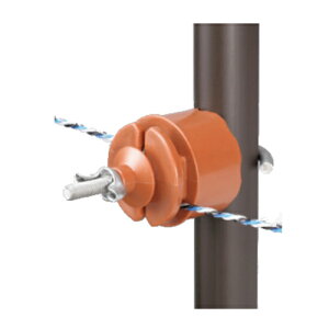 4560171673022 SKCV dq쏊 dC bQ΍