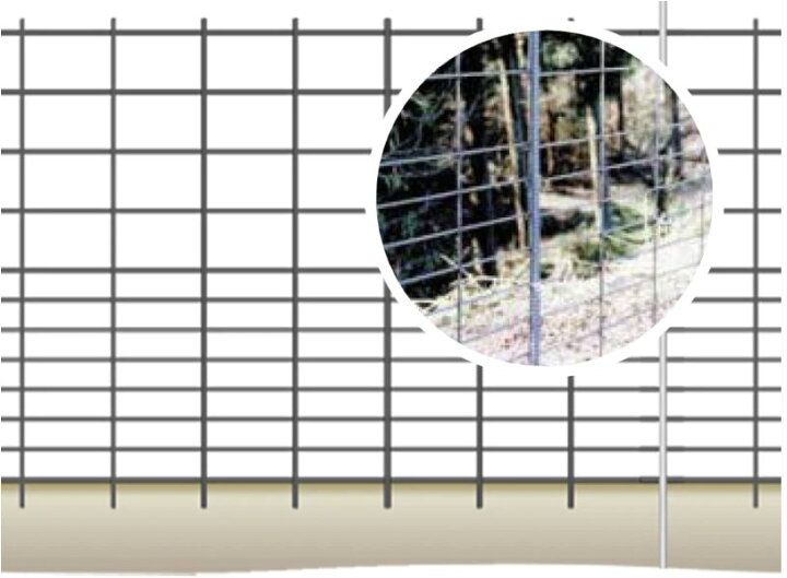 楽天市場】【100m設置用 線径Φ5mm】防獣金網 いのししくん（フェンス 