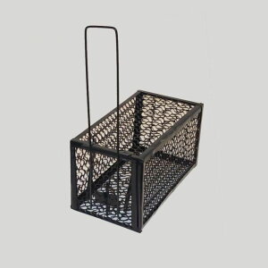 lY~ߊl  X[TCY Д@bQ΍AiO} nNrV ACO}΍œK  Qb 쏜 ȒP