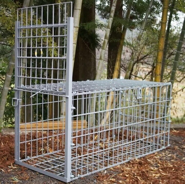 楽天市場】箱罠 片扉 檻 イノシシ いのしし 猪 シカ 鹿 しか キョン 中 