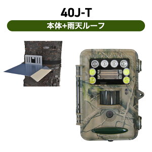 TREL(g) 40J-T@ԃJ[BefBeJ(ZT[J) {+JV[t