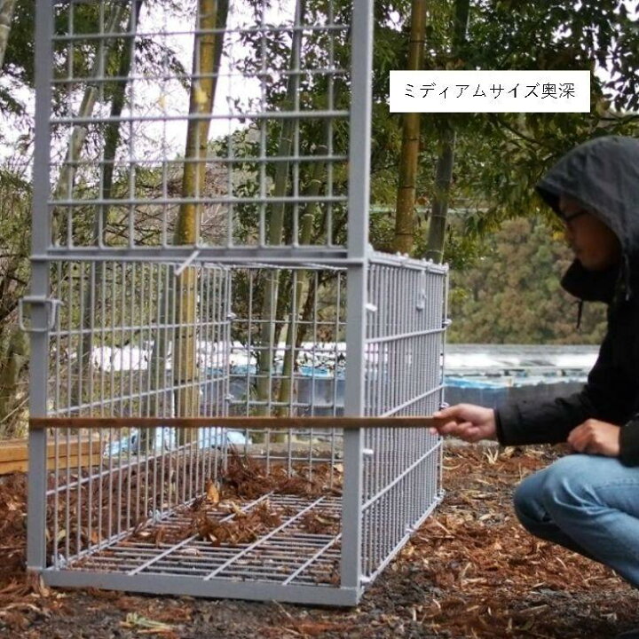 楽天市場】箱罠 片扉 檻 イノシシ いのしし 猪 シカ 鹿 しか キョン 中 