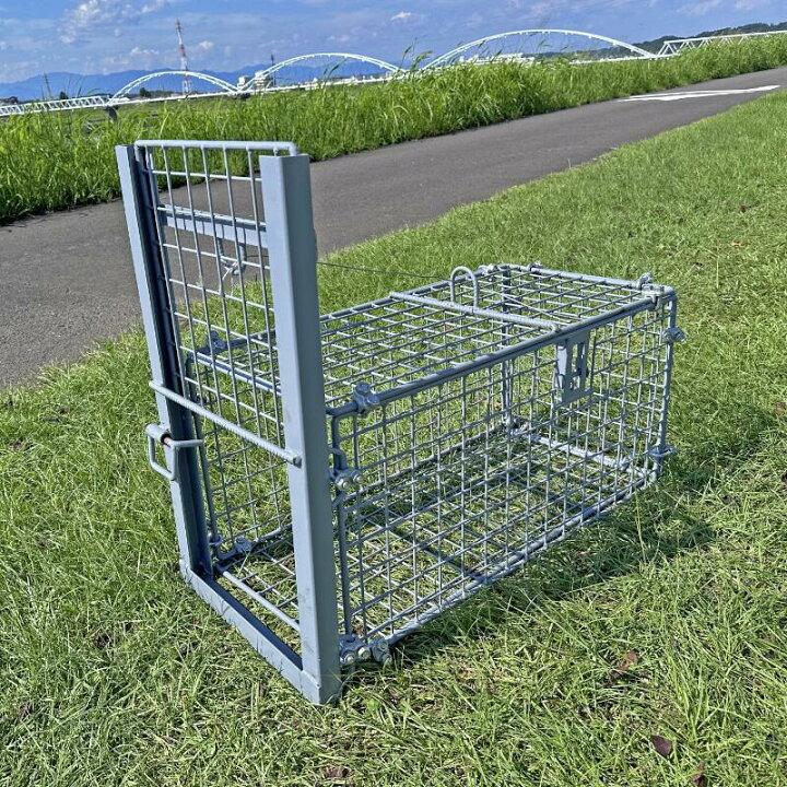 楽天市場】小動物用 箱罠 片扉 檻 イノシシ アナグマ ハクビシン 
