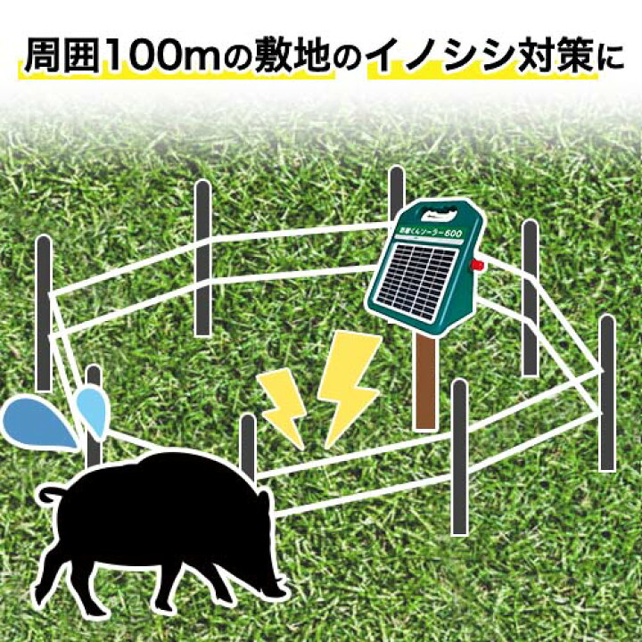 楽天市場】電気柵セット 防獣くんソーラー600 お手軽 100mセット(2段  