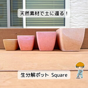 N[|p3ȏ30%OFF!y|bg Squarez  Aؔ | K[fjO v^[   A ϗtA c  O   [^ A  |pi K[fjOG y