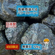 【初回限定】 国産 黒栗石 蛇紋岩 【12kg×1袋】 黒 栗石 割栗石 蛇紋石 庭石 砕石 敷石 庭 園芸 ガーデ…