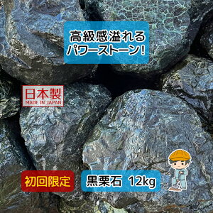 yz Y I ֖ y12kg×1܁z  I I ֖  Ӑ ~  | K[fjO K[fXg[ K[fbN bNK[f GNXeA VR p[X