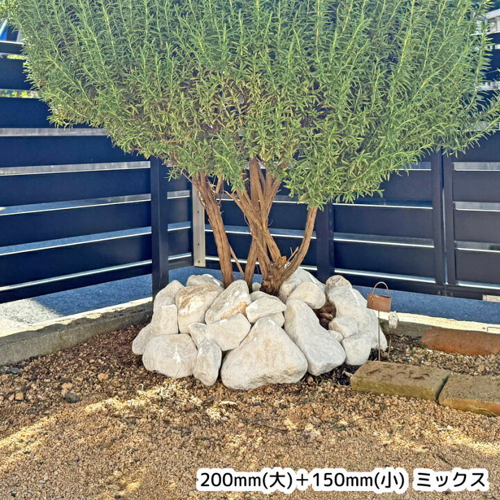 楽天市場】【選べる100~200mm】白 栗石 割栗石 じゃかご じゃかご石 