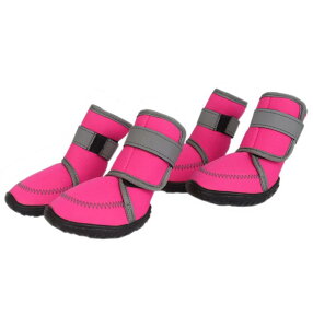 ASMPET hbOu[c pC ̂U ~  C hbOV[Y pC J̓ h ʋC ^ ^ ^ hbOu[c ی ̉h~  V[Y y _炩