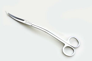 iIPPON) g~O nT~ Mы ANAE eiX IPPONS