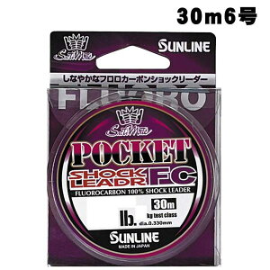 �T�����C���@�|�P�b�g�V���b�N���[�_�[FC�@30m�@6��