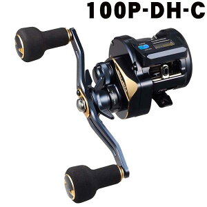 �_�C���@25�\���e�B�K�@IC�@100P-DH-C