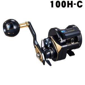 �_�C���@25�\���e�B�K�@IC�@100H-C
