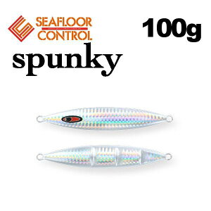 V[tARg[@XpL[@100g@O[Ȃ