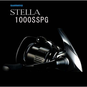 �V�}�m�@22�X�e���@1000SSPG