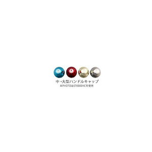 �X�^�W�I�I�[�V�����}�[�N�@�n���h���L���b�v�@ST6000HC