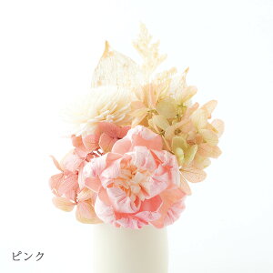 yP10{1120`1127Yz 킢t[ / { Y    茳{  킢 TXeBiu uU[ht[ ybg  L