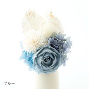 yP10{1120`1127Yz 킢t[ / { Y    茳{  킢 TXeBiu uU[ht[ ybg  L