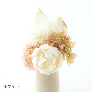  킢t[ / { Y    茳{  킢 TXeBiu uU[ht[ ybg  L