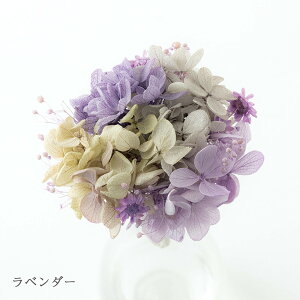 yP10{1120`1127Yz u[P / { Y    茳{  킢 TXeBiu uU[ht[ ybg  L