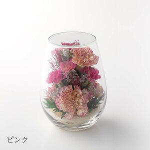  Ƃ  {gt[ / { Y    CeA Mtg 茳{  킢 TXeBiu uU[ht[ ybg  L