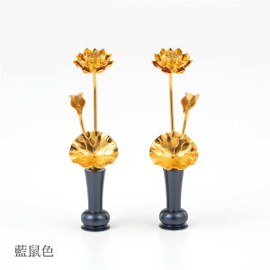  A~ F E2{Zbg / { Y  茳{ RpNg CeA _ ybg{  L