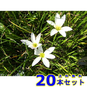 ^}X_ (ʗ) 9.0p 20{ OhJo[@@G\h