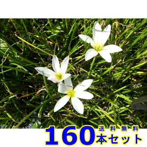 ^}X_ (ʗ) 9.0p 160{ OhJo[@@G\h