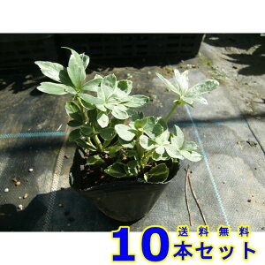 tCtbL\E (xM) 9.0p 10{ OhJo[@@G\h