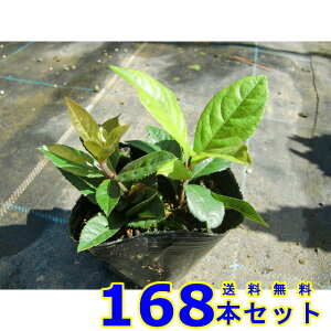 uREW (Mq@\) 9.0p 168{ OhJo[@@G\h