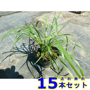 u (M@Iy) 10.5p 15{ OhJo[@@G\h