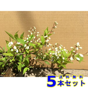 qEcM (PK) 12.0p 5{ 0.2mO 12.0p A؁@c؁@V{c[@_