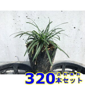 ^}E (ʗ) 7.5p 320{ OhJo[@@G\h