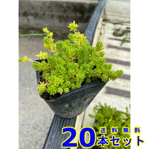Z_ }lOT@ (A@XN) 9.0p 20{ 9.0p OhJo[@@G\h