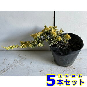 Rjt@[ }U[[f (F@) 15.0p 5{ 15.0p OhJo[@@G\h