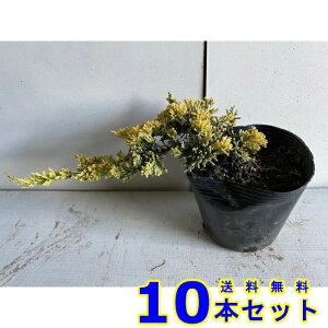 Rjt@[ }U[[f (F@) 15.0p 10{ 15.0p OhJo[@@G\h