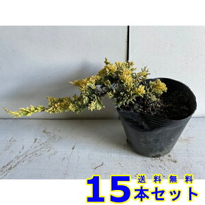 Rjt@[ }U[[f (F@) 15.0p 15{ 15.0p OhJo[@@G\h