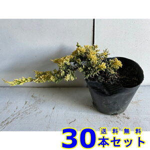 Rjt@[ }U[[f (F@) 15.0p 30{ 15.0p OhJo[@@G\h