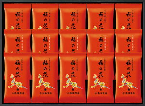 y2025ΕzR{CۓX@ɏu~̉ԁv15܋l@UF5AĊC/tCۂΕ/Mtg/lߍ킹[7822-1][Hi]