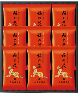 y2025ΕzR{CۓX@ɏu~̉ԁv9܋l@UF3AĊC/tCۂΕ/Mtg/lߍ킹[7822-1][Hi]