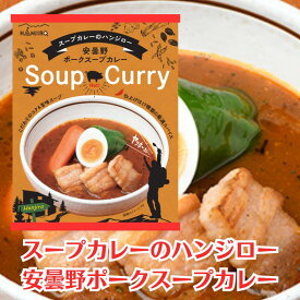 【スープカレーのハンジロー】安曇野ポークスープカレー【辛さしっかり/辛口/豚肉/ポークカレー/コク/旨み/17種類の厳選スパイス使用】【化学調味料・保存料不使用の無添加】【松本カリー/松本カレー/レトルトカレー】[長野県安曇野市][7822-1][食品]