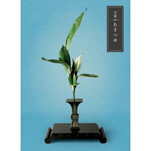 yJ^OMtgzt@`TԂA@vE@̈o`y685_fځzyMtgElEܖzHi/G[7821-10]