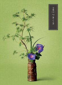 yJ^OMtgzt@`TԂA@vE@̈o`y690_fځzHi/G݁yMtgElEܖz[7821-10]