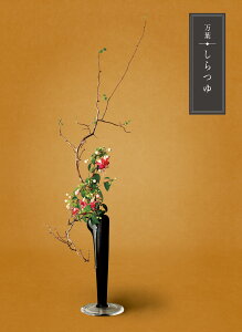 yJ^OMtgzt@y1045_fځz`TԂA@vE@̈o`yMtgElEܖzHi/G[7821-10]