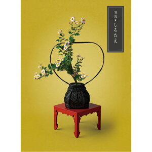 yJ^OMtgzt@낽y660_fځz`TԂA@vE@̈o`yMtgElEܖzHi/G[7821-10]